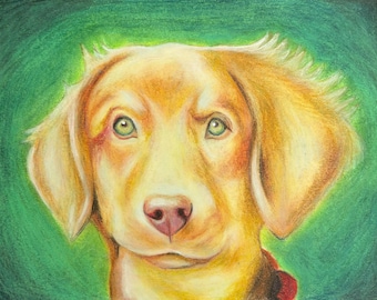 Dog Drawing in Chalk Pastel and Colored Pencil - 12x9 Inches