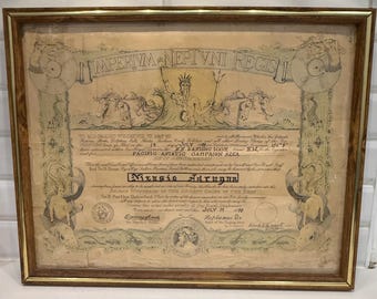 Certificato Shellback della Marina della Seconda Guerra Mondiale del 1943, Neptunus Rex, attraversamento dell'Equatore, USN con cornice