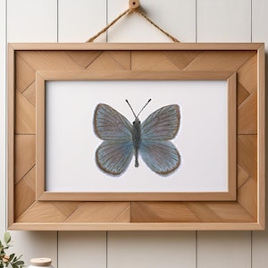 Stampa artistica di farfalla blu rame / Illustrazione disegnata a mano / Carta fine art opaca o in lino / Decorazione murale colorata con natura