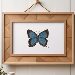 Stampa artistica di farfalla con striature di capelli bianca M / Illustrazione disegnata a mano / Carta fine art opaca o in lino / Decorazione murale colorata e naturale