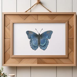 Stampa artistica di farfalla viola con macchie rosse / Illustrazione disegnata a mano / Carta fine art opaca o in lino / Decorazione murale con motivi naturali colorati