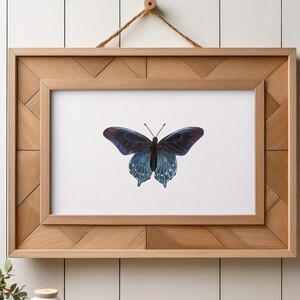 Stampa artistica di farfalla coda di rondine Pipevine / Illustrazione disegnata a mano / Carta fine art opaca o in lino / Decorazione murale colorata e naturale