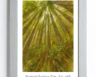 Redwood Nationalpark Aquarell Druck