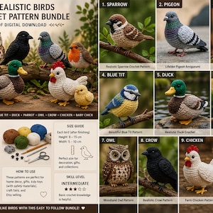 Op de afbeelding: Een digitale PDF-patroonbundel voor het haken van tien realistische vogels, waaronder een mus, duif, roodborstje, pimpelmees, eend, papegaai, uil, kraai, kip en kuiken. Afgewerkte vogels zijn 5-10 cm breed en 8-15 cm hoog.