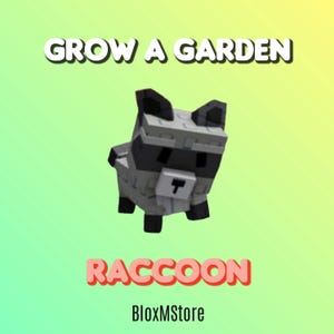 Raton laveur - Cultivez un jardin