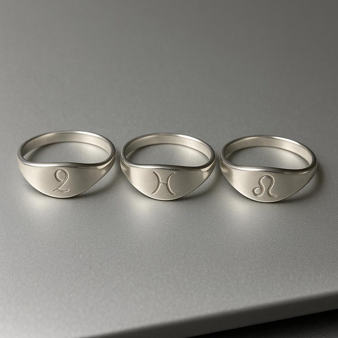 925 Sterling Silver Zodiac Signet Rings Set of 3 – Astrology Rings for ...