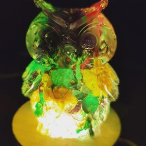 Epoxy resin lamp with dried flowers &quot;Owl&quot;