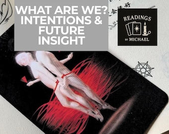 Situationship Tarot Reading | What Are We? Intentions & Future Insight | Urgent Love Guidance | Relationship Clarity Reading