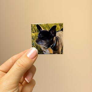 Photo Magnets, Fridge Magnets, Customized Photo Magnets, Square Magnet, Gift For Anyone, 2x2 Magnets, Personalized, Business Logo Magnet