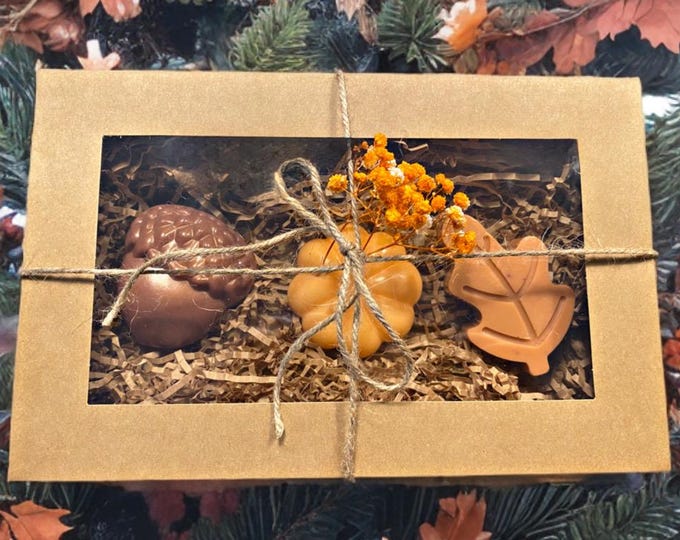 Featured listing image: Autumn/Winter decorative soaps - citrus, cinnamon scent - season’s colours - body safe scent - decorative box included