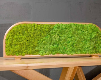Separadores de escritorio móviles portátiles con musgo / Separadores de mesa