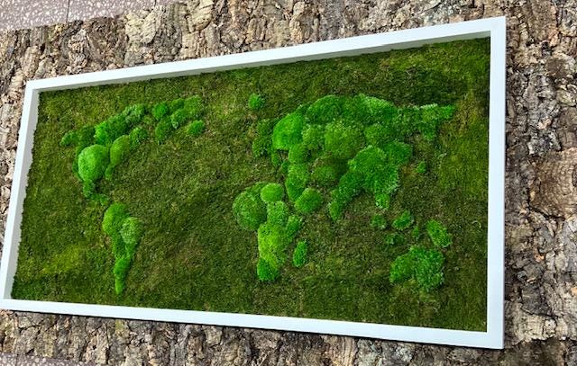 Moss Wall Map - 3D World Map With Moss in Frame - Etsy