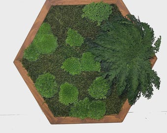 Moosmalerei Hexagon mit Moos und Pflanzen