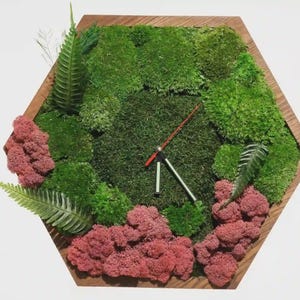 Hexagon Wall Clock in Frame with Moss and Plants