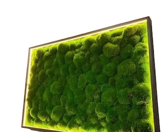 Moss Painting with Pole Moss and LED Lighting