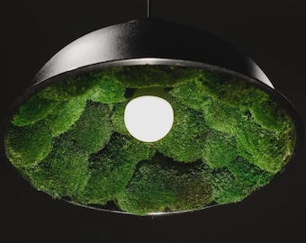 Hanging Lamp with Moss | Decorative Hanging Lights