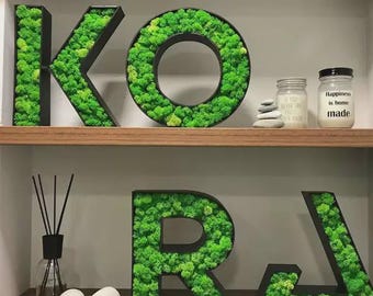 Individuelles Moos Logo & Schriftzug. Holzbuchstaben mit Moos. 3D Logo