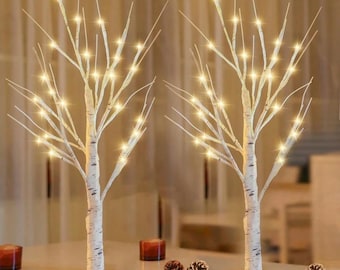LITBLOOM - Ghirlanda di betulla illuminata a batteria, con 8 funzioni, 48 luci LED multicolore e bianco caldo, 6 m, per interni ed esterni, per autunno, inverno, decorazione natalizia