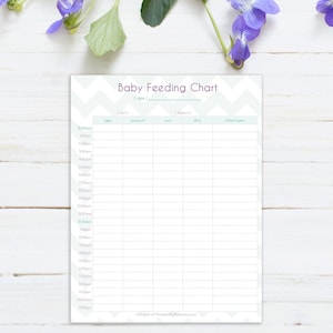 Daily Baby Feeding Log, printable