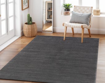 Modern Dark Gray Area Rug for Living Room, Soft Minimalist Floor Carpet Home Decor