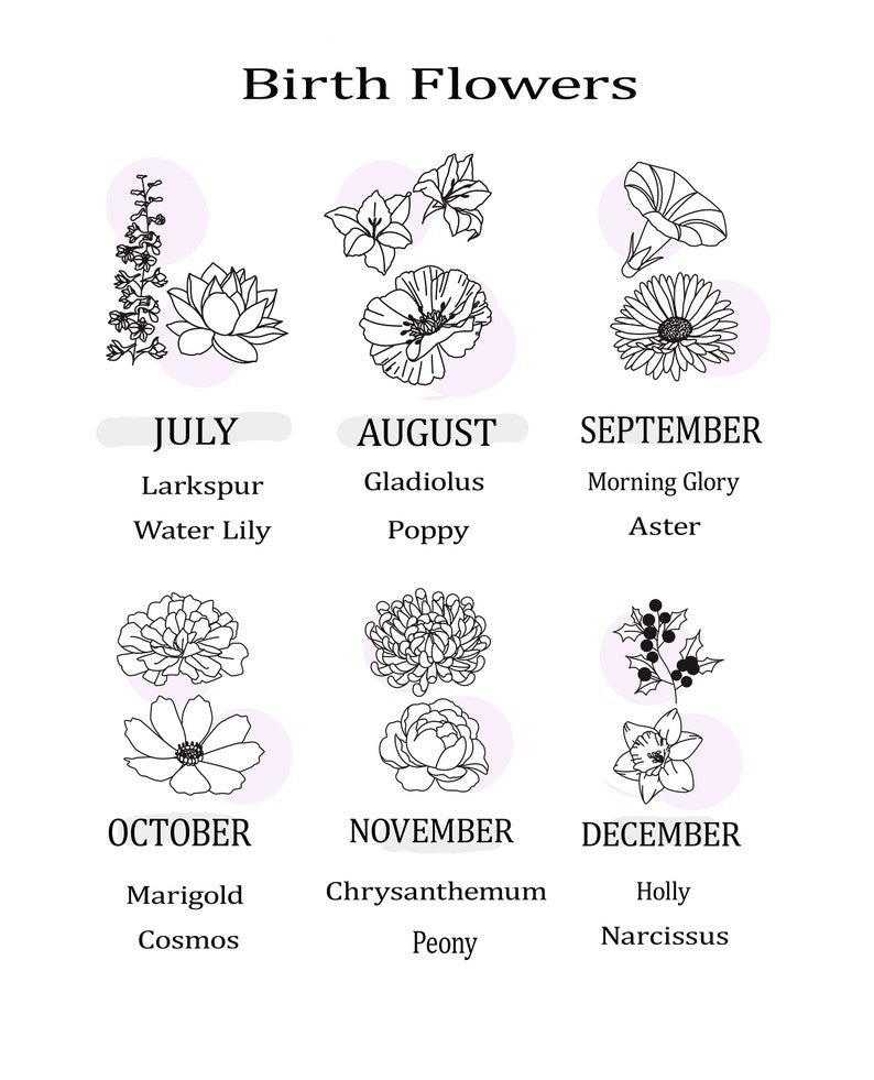 May include: A black and white illustration of birth flowers for each month of the year. The months are listed with the corresponding flowers, including Larkspur, Water Lily, Gladiolus, Poppy, Morning Glory, Aster, Marigold, Cosmos, Chrysanthemum, Peony, Holly, and Narcissus.