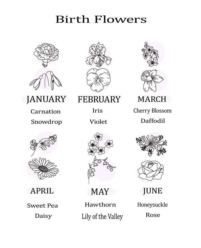 May include: A white graphic featuring the text "Birth Flowers" at the top. Below are illustrations of flowers, each associated with a month, including January's Carnation, February's Iris, and March's Cherry Blossom.