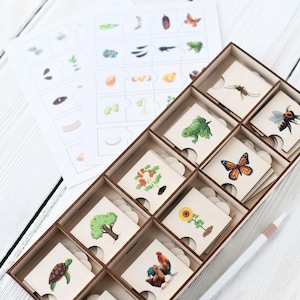 Hölzernes Lebenszyklus-Puzzle-Set, 10 Entwicklungssequenzen mit Kontrollblättern, Montessori-inspiriertes Lernspielzeug