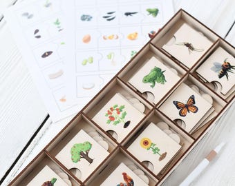 Zestaw drewnianych puzzli Montessori „Cykl życia”: zabawka edukacyjna STEM