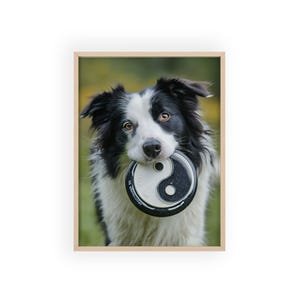 Yin Yang Dog Poster with Wooden Frame, Pet Decor, Wall Art for Dog Lovers, Home Decoration, Gift for Animal Lovers