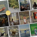 Life Coach Canva Templates | Wellness Instagram Post Bundle | Mindset & Personal Growth Content (Instant Download) product logo