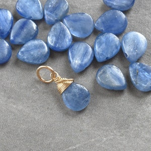 Natural Chatoyant Blue Kyanite Pendant - SemiPrecious Gemstone Jewelry - Huggie Hoop Earring Dangle Charms - Real Crystals and Stones