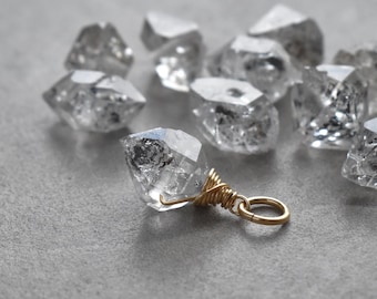 HqM Wire Wrapped Herkimer Diamond Jewelry - Raw Crystal Jewelry Handmade  - Double Terminated Quartz Point - Anthraxolite Fossilized Plants