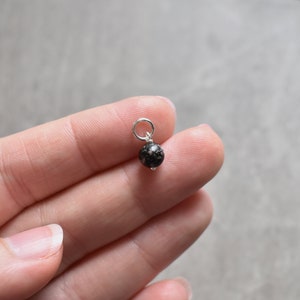 May include: A small black and silver charm with a round black bead and a silver loop.