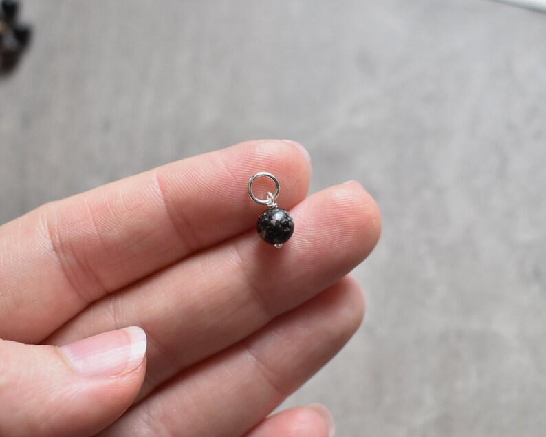 May include: A small black and silver charm with a round black bead and a silver loop.