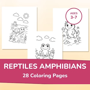 May include: A set of 28 colouring pages titled REPTILES AMPHIBIANS featuring black and white line art of a turtle, a frog, and a lizard. The pages include a circular badge with the text AGES 3-7, depicting various outdoor scenes with clouds, a sun, and plants.