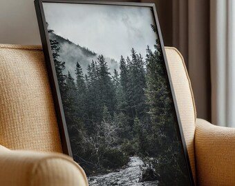 Forest River Photography Print: Serene Landscape Wall Art (Digital Download)