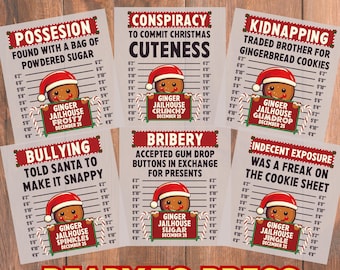 May include: A collection of DTF (Direct to Film) transfer sheets with humorous Christmas-themed designs. Each sheet features a gingerbread man in a Santa hat with text like "Possession" and "Kidnapping". The transfers are ready to press.
