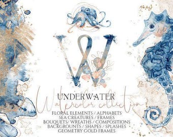 Unterwasser Aquarell, Clipart-Bundle, Meerestiere des Ozeans, Goldrahmen, florale Elemente, Hintergründe & Alphabet PNG
