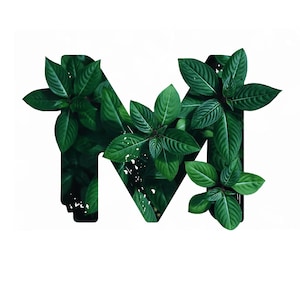 Letra M de hoja verde PNG • Clipart de monograma botánico • Alfabeto de naturaleza imprimible • Descarga digital de 300 DPI