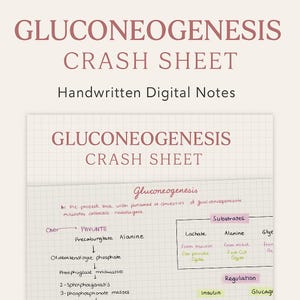 May include: Digital notes titled "GLUCONEOGENESIS CRASH SHEET" with handwritten text and diagrams. The notes cover substrates and regulation, with terms like "Alanine" and "Insulin" visible. The background is a grid pattern.