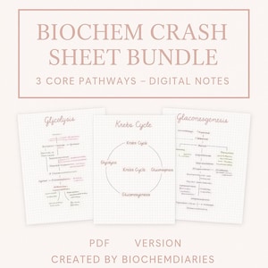 Biochem Crash Sheet Bundle | 3 Core Pathways  - digital notes