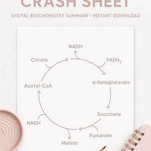 May include: A digital biochemistry summary sheet titled "Krebs Cycle Crash Sheet" with a diagram of the Krebs cycle. The sheet includes labels such as Citrate, Acetyl-CoA, and NADH. A spiral notebook, pencil, and small dish are also visible.