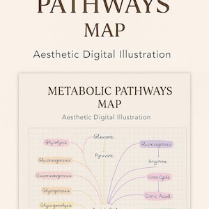 Carte des voies métaboliques - Illustration numérique esthétique