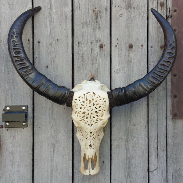 Celtic Carved Buffalo Skull, Boho Western Decor, Real Bone