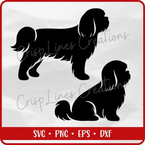 Shih Tzu Dog SVG | Standing & Sitting Silhouettes | Pet Cricut Cut File PNG Dxf EPS
