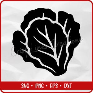 Lettuce SVG | Garden Vegetable Silhouette Cut File | PNG Dxf EPS | Cricut Farm to Table svg for Pantry Labels & Organic Decor
