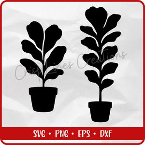 May include: Two black silhouette images of a fiddle leaf fig plant in a pot. The plants have large, rounded leaves and are in simple, dark pots. The image includes the text "SVG • PNG • EPS • DXF".