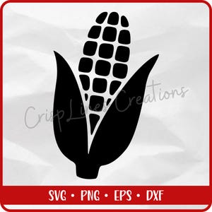 Corn SVG | Farm to Table Silhouette Cut File | Harvest Produce svg for Cricut PNG Dxf EPS | Country Garden Label or Farmhouse Decor