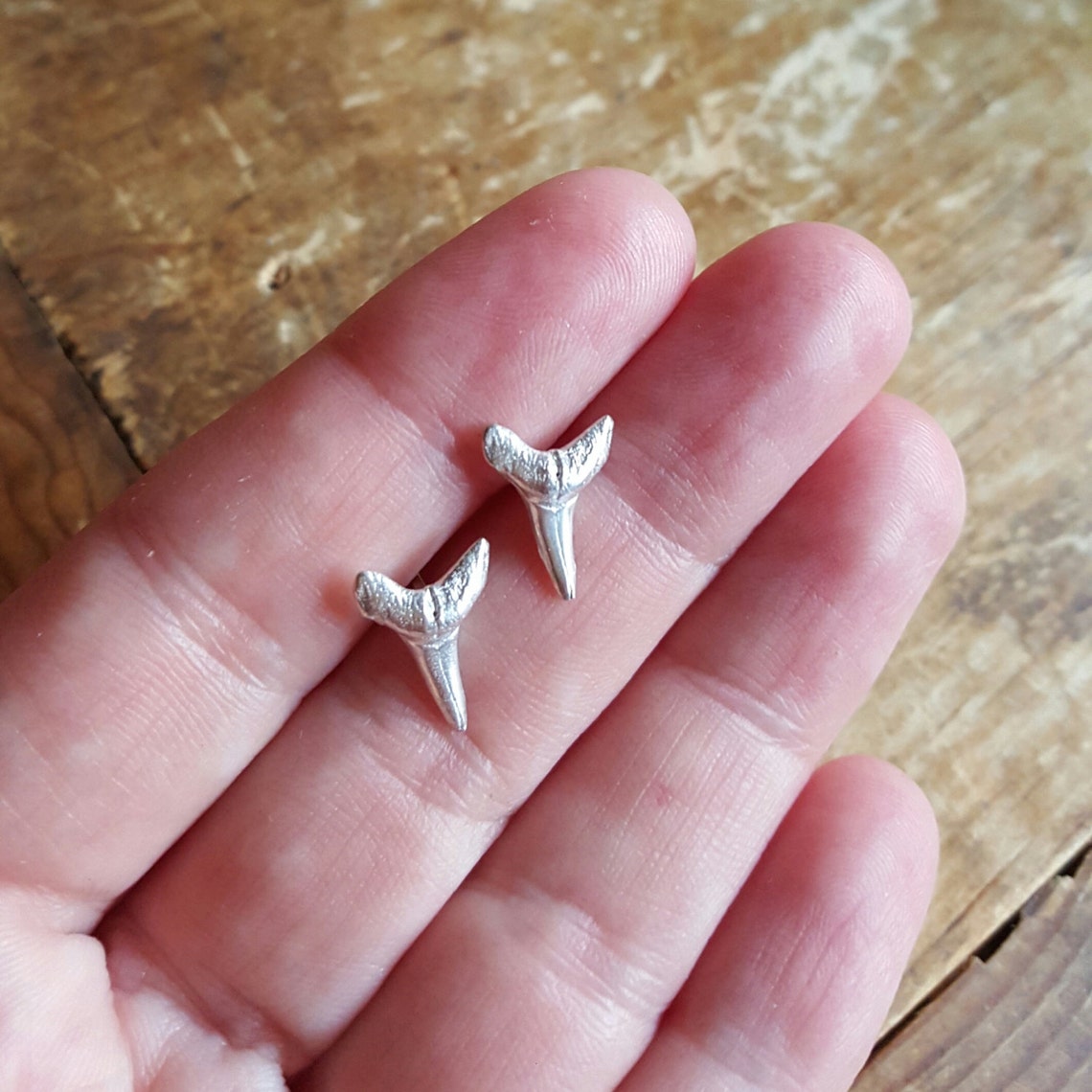 Shark Tooth Earrings Shark Tooth Stud Earrings Shark Tooth Etsy