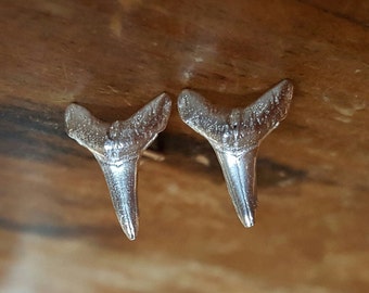 Sharktooth Earrings, Shark Tooth Stud Earrings, Sharktooth Studs, Womens Gift for Women Men Shark Tooth Earring Sterling Shark Teeth Jewelry